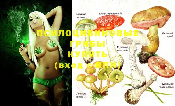 скорость Алексеевка